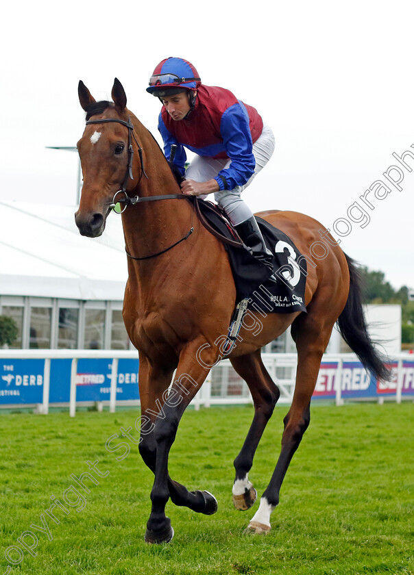 Luxembourg-0005 
 LUXEMBOURG (Ryan Moore) winner of the Holland Cooper Coronation Cup
Epsom 31 May 2024 - pic Steven Cargill / Racingfotos.com