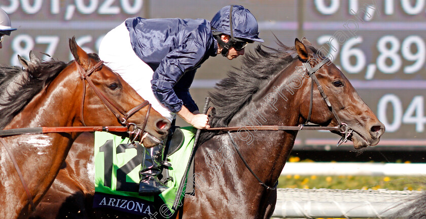 Arizona-0003 
 ARIZONA (Ryan Moore) in the early stages of The Breeders' Cup Juvenile Turf
Santa Anita USA 1 Nov 2019 - Pic Steven Cargill / Racingfotos.com