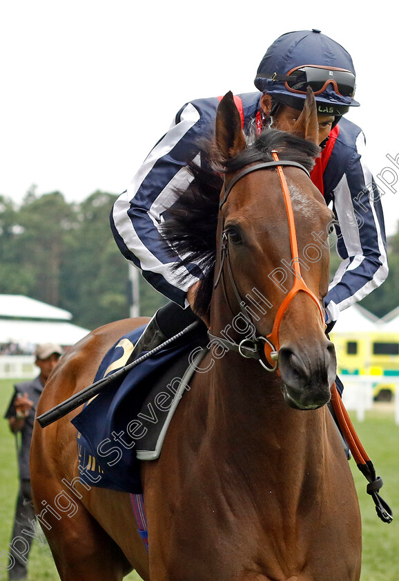 Happy-Romance 
 HAPPY ROMANCE (Sean Levey)
Royal Ascot 18 Jun 2022 - Pic Steven Cargill / Racingfotos.com