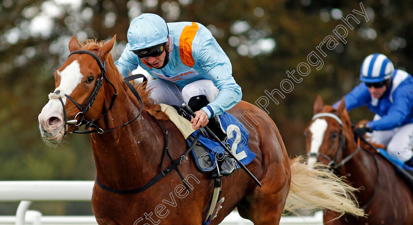 The-Rosstafarian-0007 
 THE ROSSTAFARIAN (James Doyle) wins The PKF Francis Clark British EBF Novice Stakes Div2
Salisbury 1 Oct 2020 - Pic Steven Cargill / Racingfotos.com