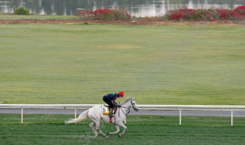 Lord-Glitters-0001 
 LORD GLITTERS training for The Dubai Turf
Meydan, Dubai, 24 Mar 2022 - Pic Steven Cargill / Racingfotos.com