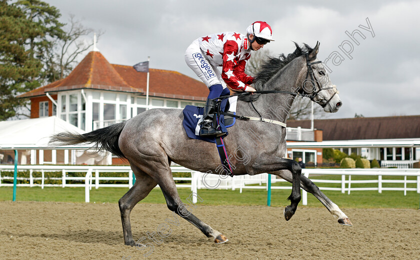 Lethal-Touch 
 LETHAL TOUCH (David Probert)
Lingfield 9 Mar 2022 - Pic Steven Cargill / Racingfotos.com