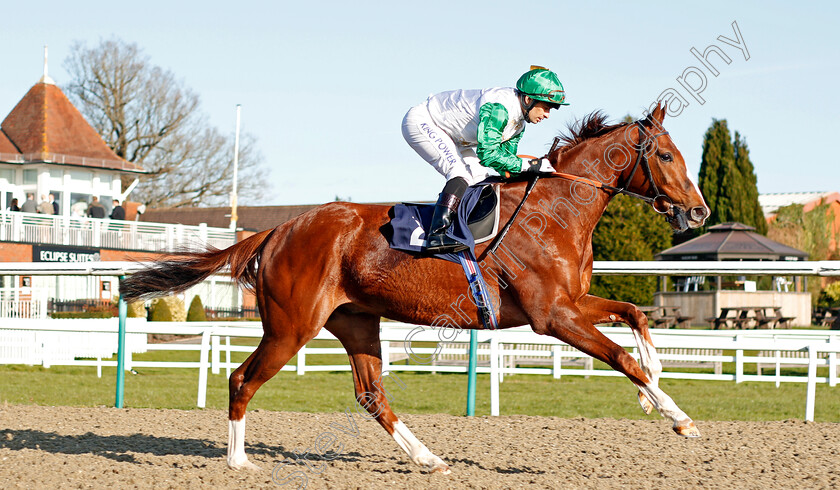 Kuwait-Currency-0001 
 KUWAIT CURRENCY (Silvestre De Sousa)
Lingfield 8 Feb 2020 - Pic Steven Cargill / Racingfotos.com