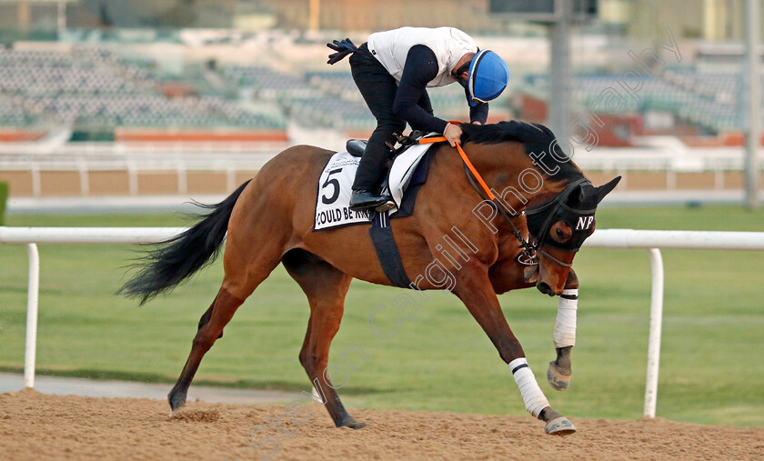 Could-Be-King-0001 
 COULD BE KING training at Meydan, Dubai
2 Feb 2023 - Pic Steven Cargill / Racingfotos.com