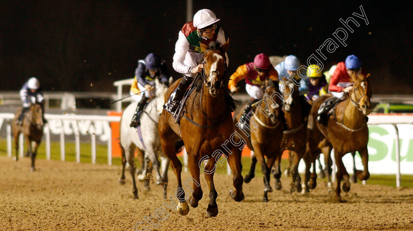 She s-Got-You-0004 
 SHE'S GOT YOU (Robert Havlin) wins The Ladbrokes Home Of The Odds Boost Fillies Novice Stakes Div1
Wolverhampton 10 Dec 2018 - Pic Steven Cargill / Racingfotos.com