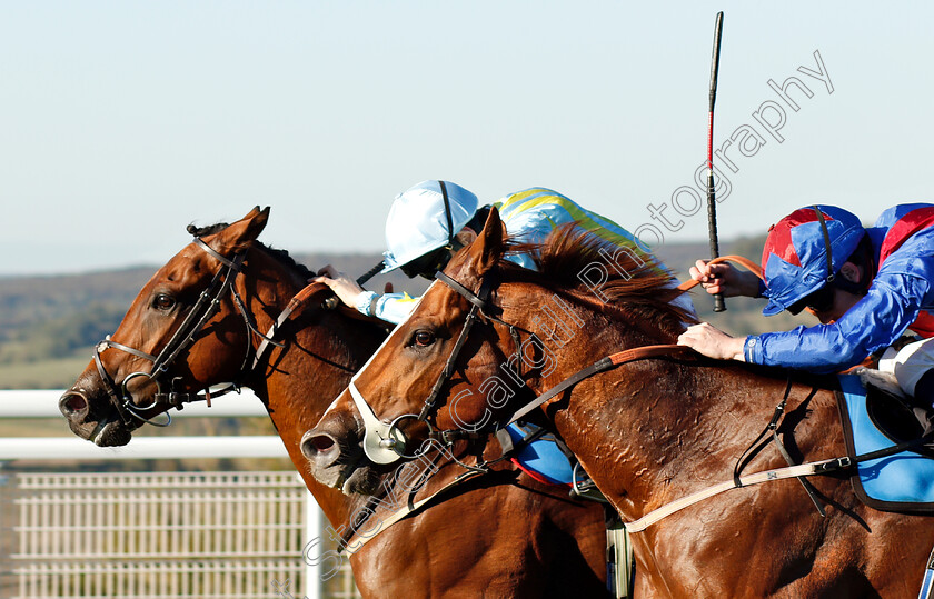 Master-Carpenter-0005 
 MASTER CARPENTER (right, Oisin Murphy) beats ZLATAN (left) in The Birra Moretti Handicap 
Goodwood 26 Sep 2018 - Pic Steven Cargill / Racingfotos.com