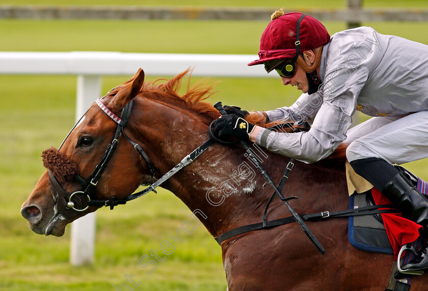 Ebro-River-0010 
 EBRO RIVER (James Doyle) wins The Coral Beaten By A Length National Stakes
Sandown 27 May 2021 - Pic Steven Cargill / Racingfotos.com