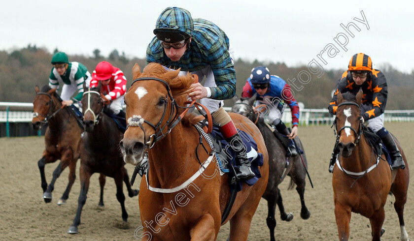 Silca-Mistress-0004 
 SILCA MISTRESS (Adam Kirby) wins The Ladbrokes Home Of The Odds Boost Fillies Handicap
Lingfield 5 Dec 2018 - Pic Steven Cargill / Racingfotos.com