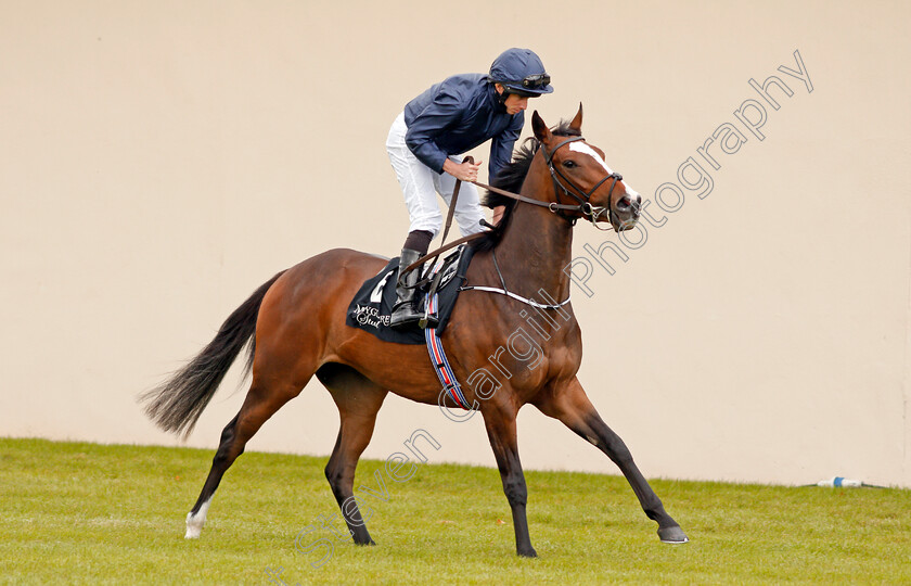 Rain-Goddess-0001 
 RAIN GODDESS (Ryan Moore) Curragh 10 Sep 2017 - Pic Steven Cargill / Racingfotos.com