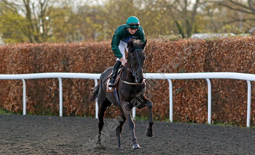 Lady-Twilight-0001 
 LADY TWILIGHT (Rhys Clutterbuck)
Kempton 3 Apr 2024 - Pic Steven Cargill / Racingfotos.com