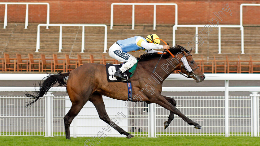 Call-My-Bluff-0004 
 CALL MY BLUFF (Harry Bentley) wins The Ladbrokes Watch Racing Online For Free Handicap
Goodwood 28 Aug 2020 - Pic Steven Cargill / Racingfotos.com