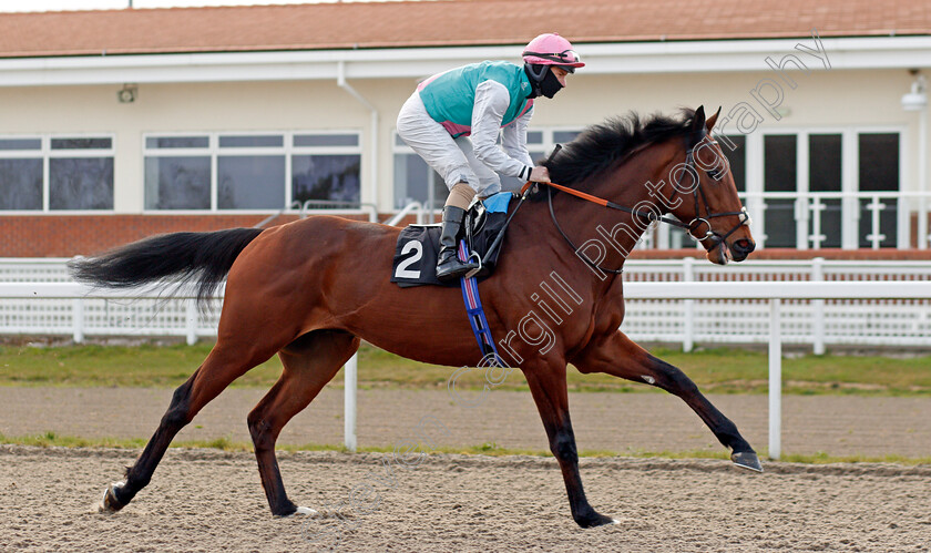 Duty-Of-Care-0001 
 DUTY OF CARE (Richard Kingscote)
Chelmsford 1 Apr 2021 - Pic Steven Cargill / Racingfotos.com