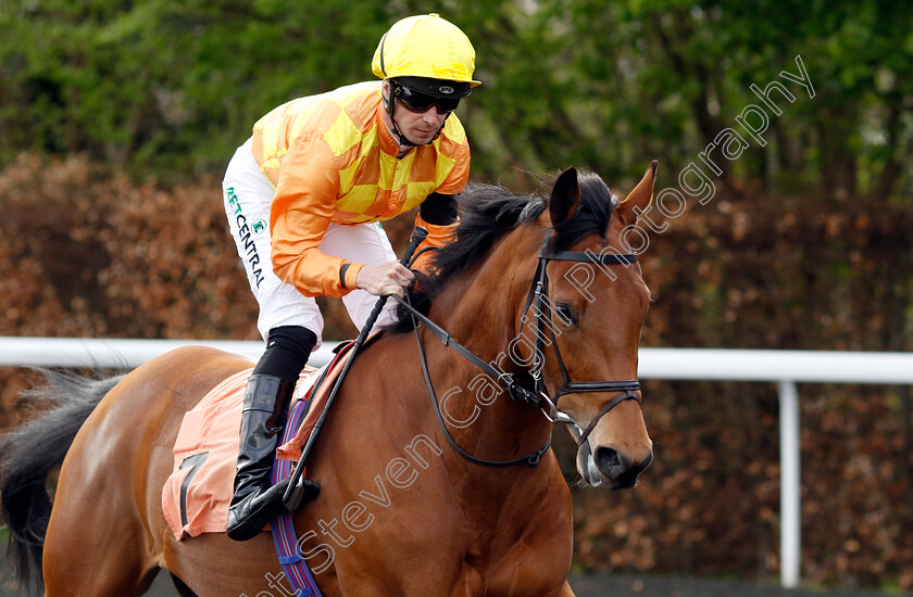 Lone-Piper-0002 
 LONE PIPER (Jack Mitchell)
Kempton 3 Apr 2024 - Pic Steven Cargill / Racingfotos.com