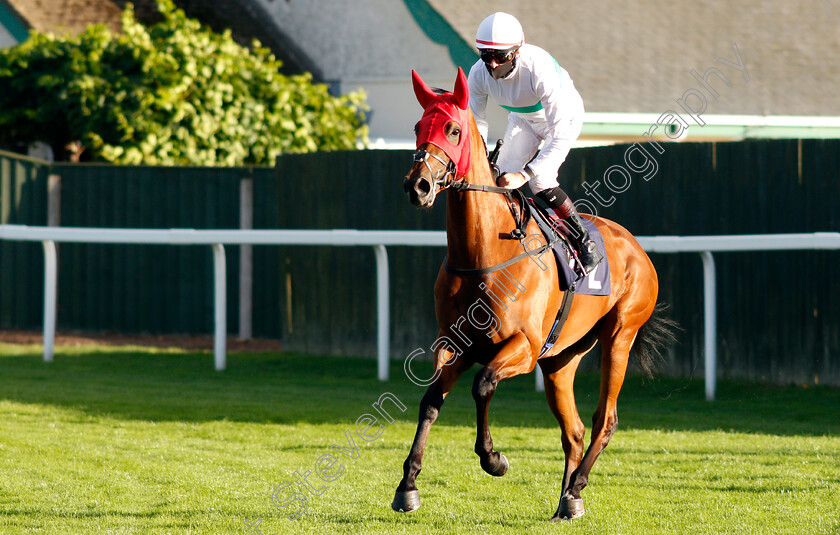 Mostly-0001 
 MOSTLY (Robert Havlin)
Yarmouth 25 Aug 2020 - Pic Steven Cargill / Racingfotos.com