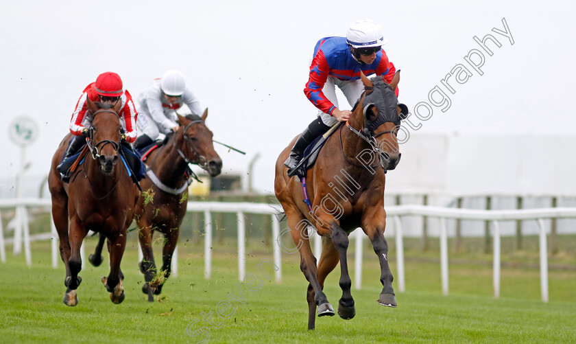 Mayo-Neighs-0003 
 MAYO NEIGHS (Rossa Ryan) wins The Breast Cancer UK Nursery
Yarmouth 21 Sep 2023 - Pic Steven Cargill / Racingfotos.com