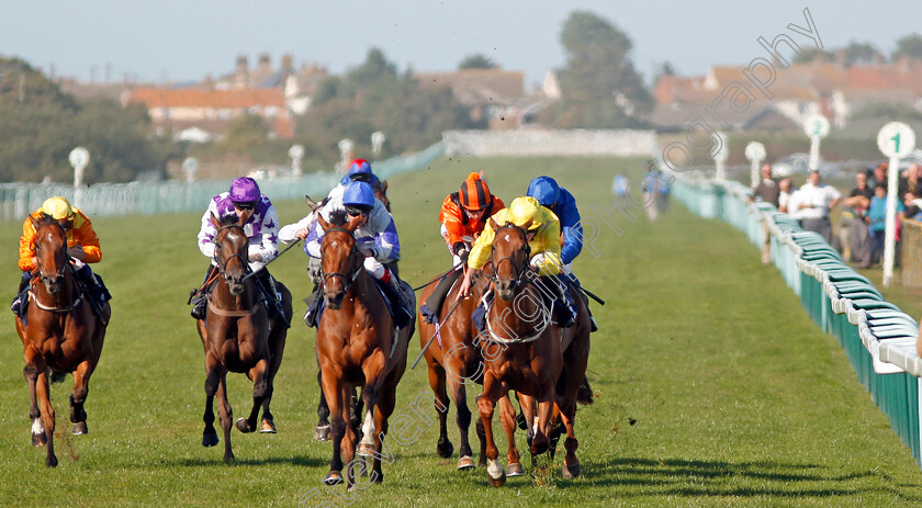 Summer-Moon-0005 
 SUMMER MOON (yellow, Ryan Moore) beats PROTECTED GUEST (centre) in The Dan Hague Betting On The Rails Handicap
Yarmouth 19 Sep 2019 - Pic Steven Cargill / Racingfotos.com