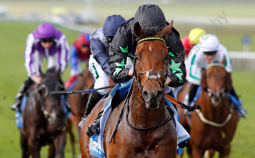 Inquisitively-0002 
 INQUISITIVELY (William Buick) wins The Newmarket Academy Godolphin Beacon Project Cornwallis Stakes
Newmarket 13 Oct 2023 - Pic Steven Cargill / Racingfotos.com