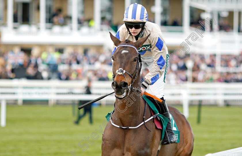 Captain-Guinness 
 CAPTAIN GUINNESS (Rachael Blackmore)
Aintree 8 Apr 2022 - Pic Steven Cargill / Racingfotos.com