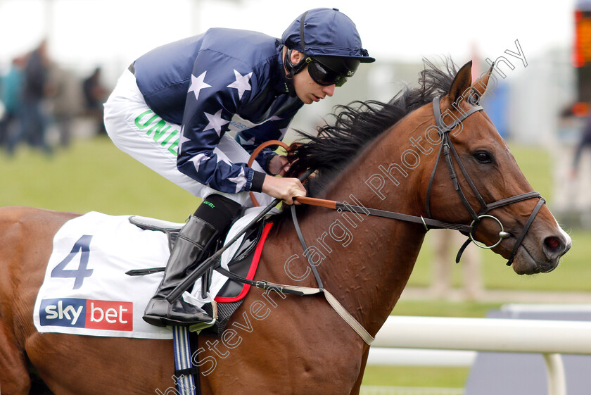 Island-Brave-0001 
 ISLAND BRAVE (Luke Morris)
York 16 May 2018 - Pic Steven Cargill / Racingfotos.com