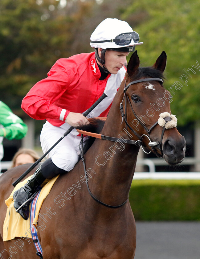 Inlet-0002 
 INLET (Richard Kingscote)
Kempton 12 Jun 2024 - Pic Steven Cargill / Racingfotos.com