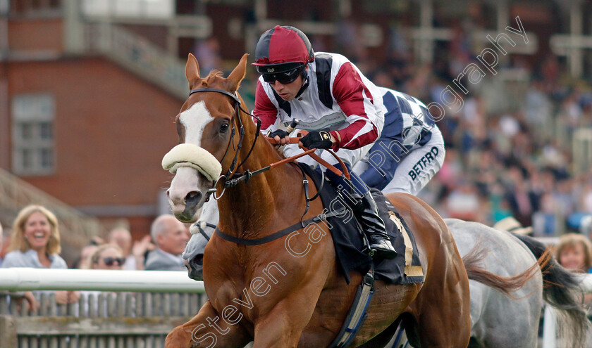 Squeezebox-0002 
 SQUEEZEBOX (Frederick Larson) wins The Join Racing TV Now Handicap
Newmarket 28 Jul 2023 - Pic Steven Cargill / Racingfotos.com