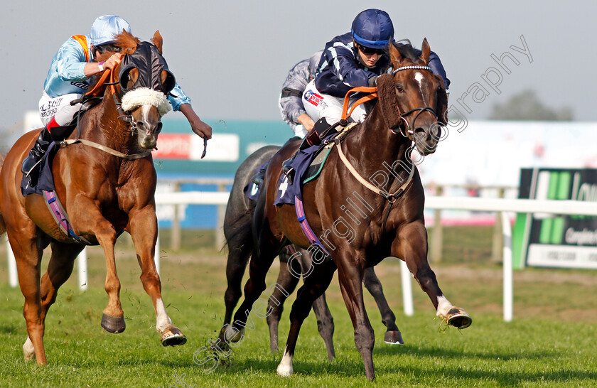 Tagovailoa-0004 
 TAGOVAILOA (Hollie Doyle) beats BLONDE WARRIOR (left) in The Moulton Nurseries of Acle Classified Claiming Stakes
Yarmouth 15 Sep 2020 - Pic Steven Cargill / Racingfotos.com