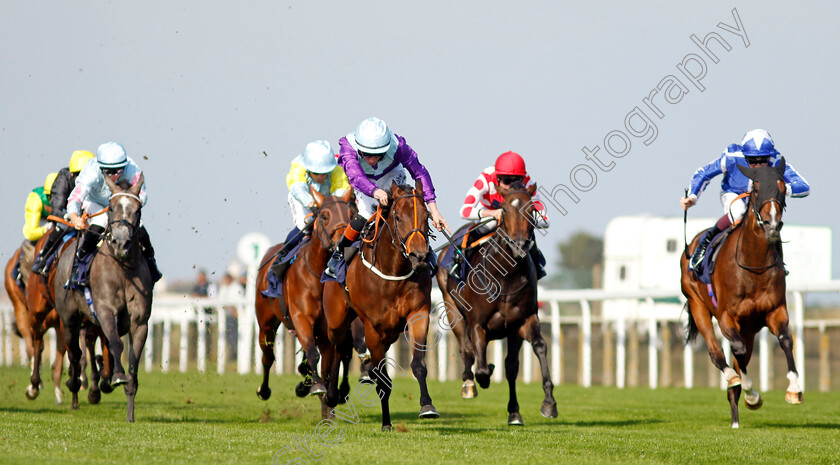 Hold-A-Dream-0006 
 HOLD A DREAM (Rossa Ryan) wins The Britiish EBF Fillies Novice Stakes
Yarmouth 18 Sep 2024 - Pic Steven Cargill / Racingfotos.com