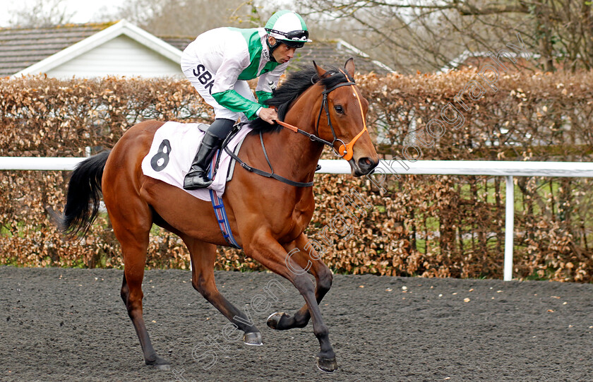 Dapperling-0001 
 DAPPERLING (Sean Levey) 
Kempton 10 Apr 2023 - Pic Steven Cargill / Racingfotos.com