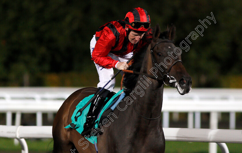 Romanor-0001 
 ROMANOR (Pat Cosgrave) Kempton 4 Oct 2017 - Pic Steven Cargill / Racingfotos.com