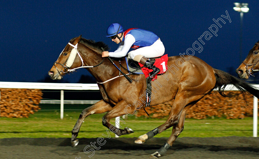 Maid-Millie-0003 
 MAID MILLIE (Stefano Cherchi) wins The Racing TV Apprentice Handicap Chase
Kempton 19 Feb 2020 - Pic Steven Cargill / Racingfotos.com