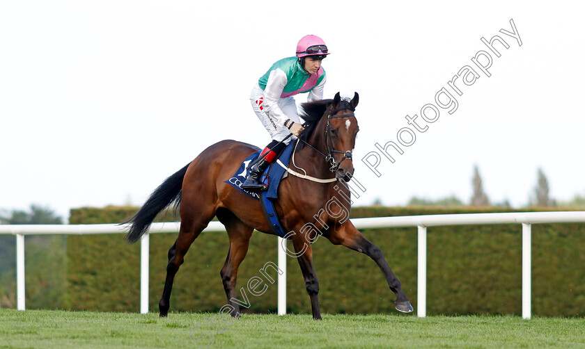 Zarinsk-0003 
 ZARINSK (Colin Keane)
Leopardstown 9 Sep 2023 - Pic Steven Cargill / Racingfotos.com