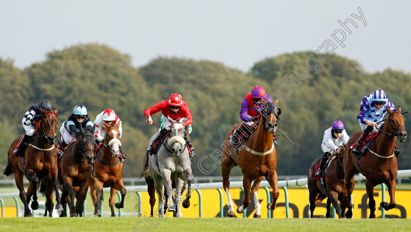 Shepherds-Way-0003 
 SHEPHERDS WAY (grey, Clifford Lee) wins The Betfair Exchange Handicap
Haydock 4 Sep 2020 - Pic Steven Cargill / Racingfotos.com