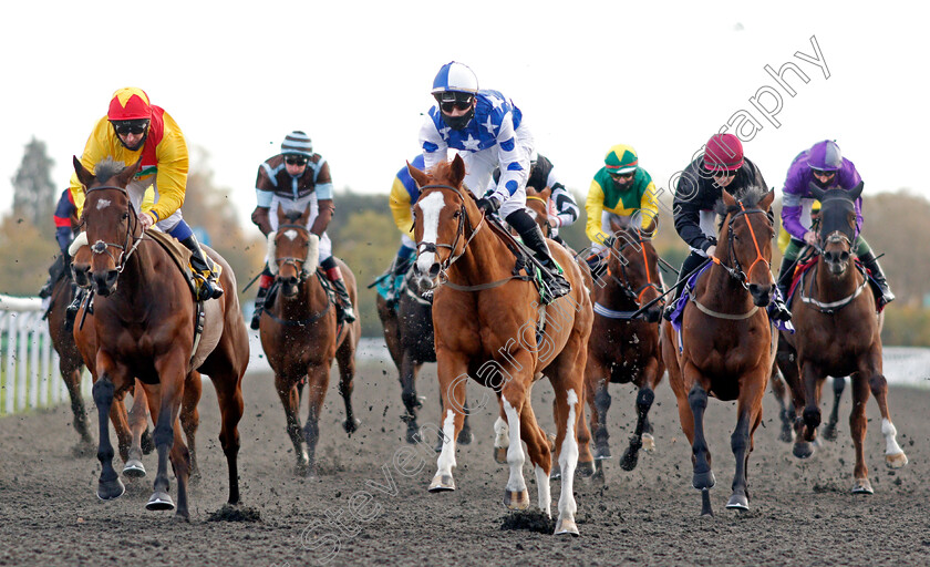 Party-Island-0006 
 PARTY ISLAND (centre, George Bass) beats MINI MILK (left) in The Try Our New Price Boosts At Unibet Handicap
Kempton 2 Nov 2020 - Pic Steven Cargill / Racingfotos.com