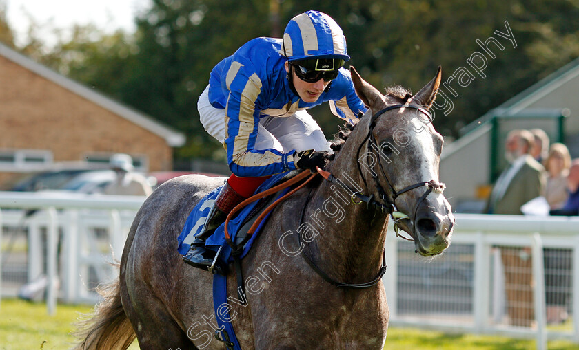 Belloccio-0004 
 BELLOCCIO (David Egan) wins The PKF Francis Clark British EBF Novice Stakes Div1
Salisbury 1 Oct 2020 - Pic Steven Cargill / Racingfotos.com