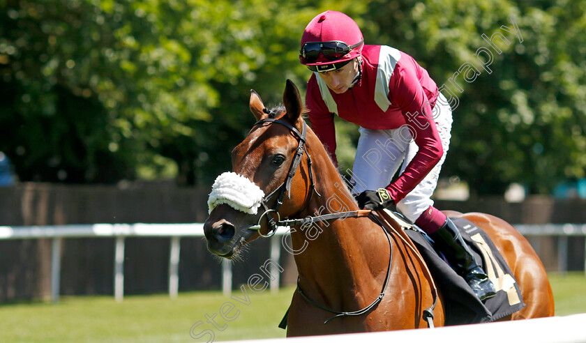 Remaat-0005 
 REMAAT (Oisin Murphy) winner of The Blandford Bloodstock Maiden Fillies Stakes
Newmarket 29 Jun 2024 - Pic Steven Cargill / Racingfotos.com