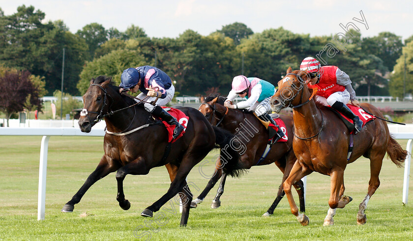 Master-Mcgrath-0002 
 MASTER MCGRATH (Kevin Stott) beats SAND DIEGO (right) in The Slug And Lettuce Christmas Party EBF Maiden Stakes
Sandown 8 Aug 2019 - Pic Steven Cargill / Racingfotos.com