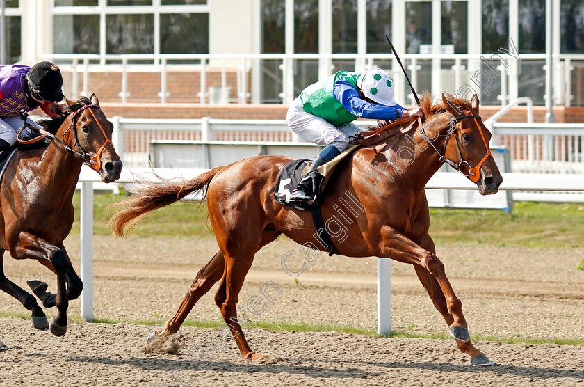 Decisive-Edge-0006 
 DECISIVE EDGE (William Buick) wins The tote Placepot Your First Bet EBF Novice Stakes
Chelmsford 20 Sep 2020 - Pic Steven Cargill / Racingfotos.com