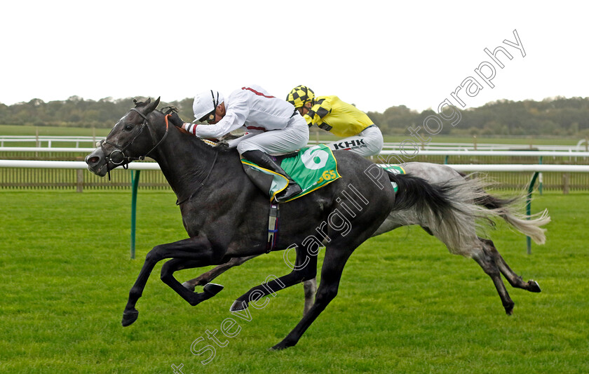 Alsakib-0001 
 ALSAKIB (James Doyle) wins The bet365 Old Rowley Cup Handicap
Newmarket 13 Oct 2023 - Pic Steven Cargill / Racingfotos.com