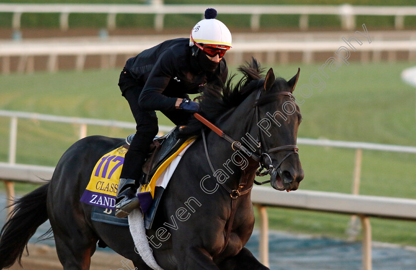 Zandon-0002 
 ZANDON training for The Breeders' Cup Classic
Santa Anita USA, 31 October 2023 - Pic Steven Cargill / Racingfotos.com