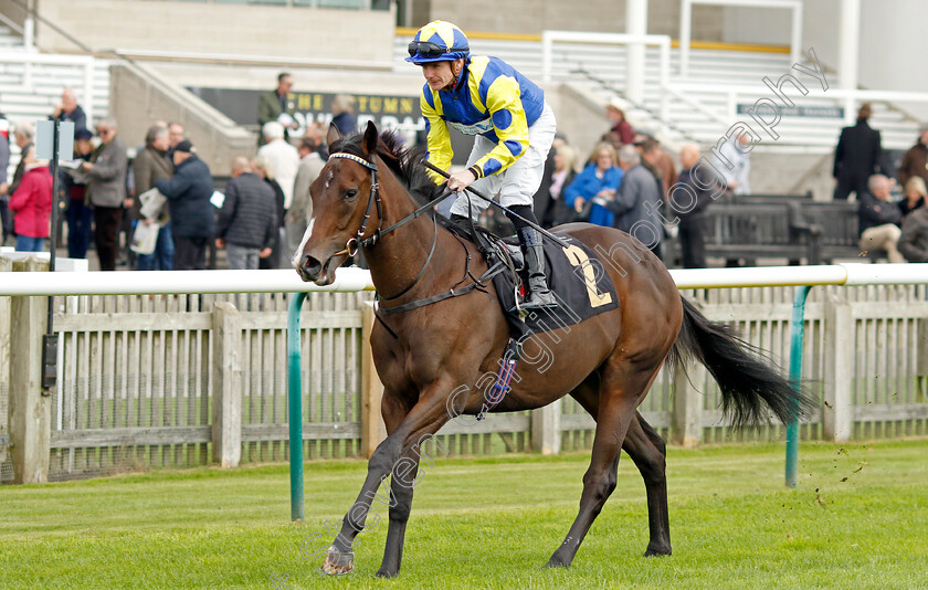 Empress-Lulu-0001 
 EMPRESS LULU (Kieran O'Neill)
Newmarket 25 Oct 2023 - Pic Steven Cargill / Racingfotos.com