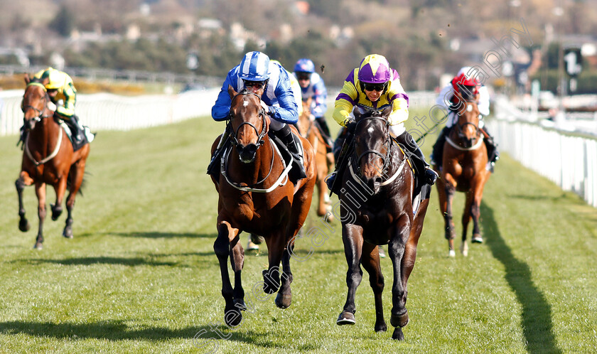 Proper-Beau-0004 
 PROPER BEAU (right, Graham Lee) beats ALMINOOR (left) in The Watch Racing TV Now Novice Stakes
Musselburgh 2 Apr 2019 - Pic Steven Cargill / Racingfotos.com