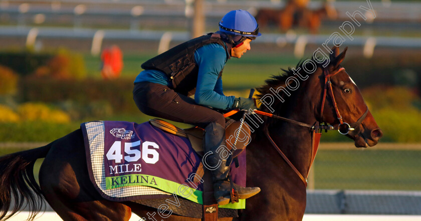 Kelina-0001 
 KELINA training for The Breeders' Cup Mile
Santa Anita 2 Nov 2023 - Pic Steven Cargill / Racingfotos.com