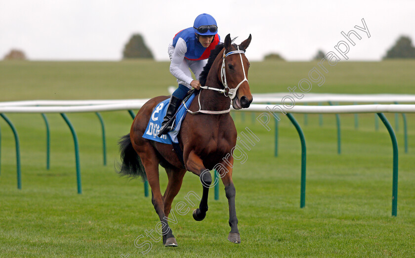 Freyabella 
 FREYABELLA (Robert Tart)
Newmarket 8 Oct 2021 - Pic Steven Cargill / Racingfotos.com