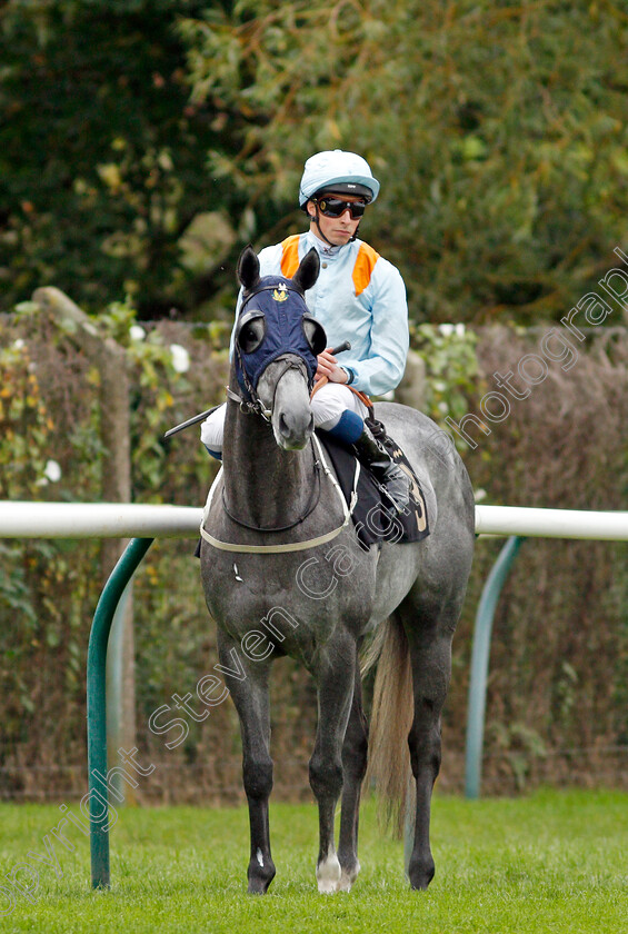 Fairmac-0002 
 FAIRMAC (William Buick)
Nottingham 13 Oct 2021 - Pic Steven Cargill / Racingfotos.com