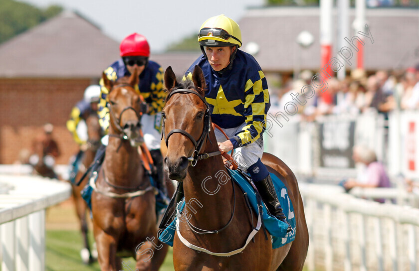 Celestial-Flight-0007 
 CELESTIAL FLIGHT (James Sullivan) winner of The SKF Rous Selling Stakes
York 16 Jun 2023 - Pic Steven Cargill / Racingfotos.com