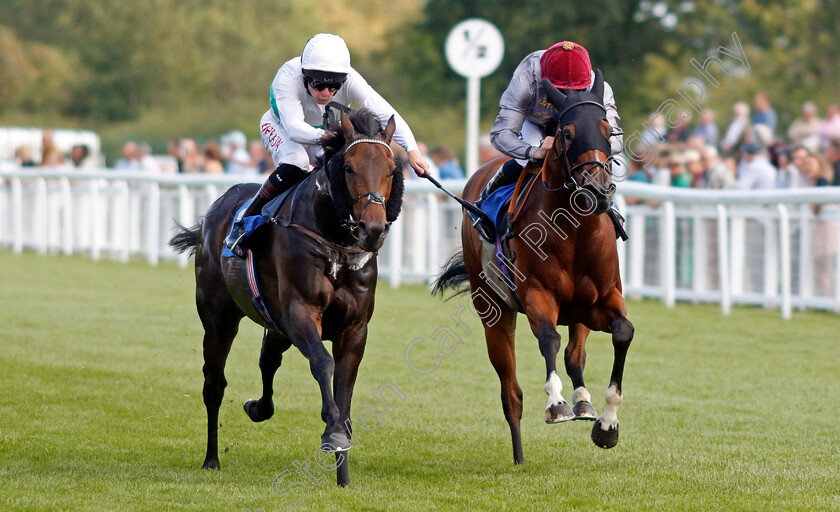 Sevenal-0004 
 SEVENAL (left, Robert Havlin) beats ZWELELA (right) in The Michael Brunton Memorial Pembroke Handicap
Salisbury 11 Aug 2021 - Pic Steven Cargill / Racingfotos.com