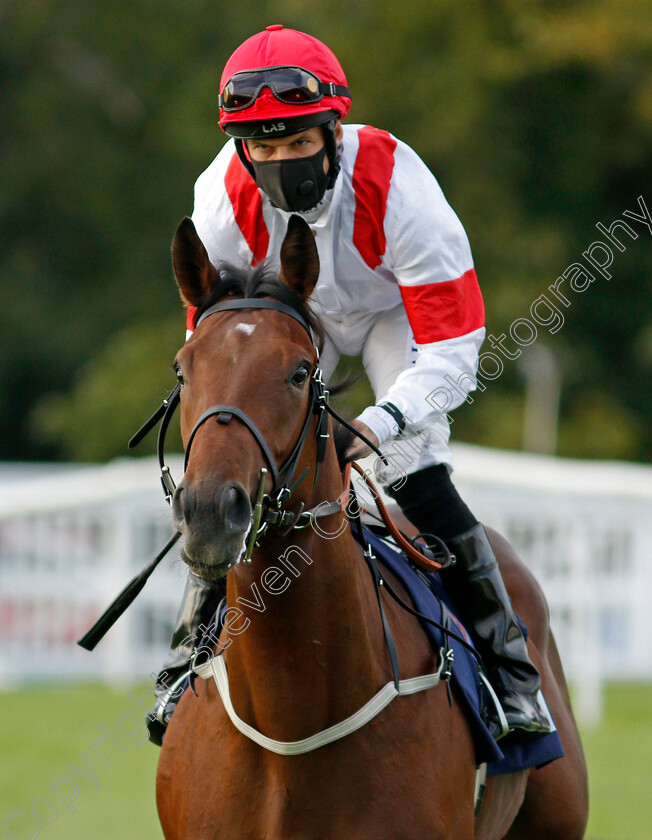 Parish-Academy-0001 
 PARISH ACADEMY (Pat Dobbs)
Lingfield 26 Aug 2020 - Pic Steven Cargill / Racingfotos.com