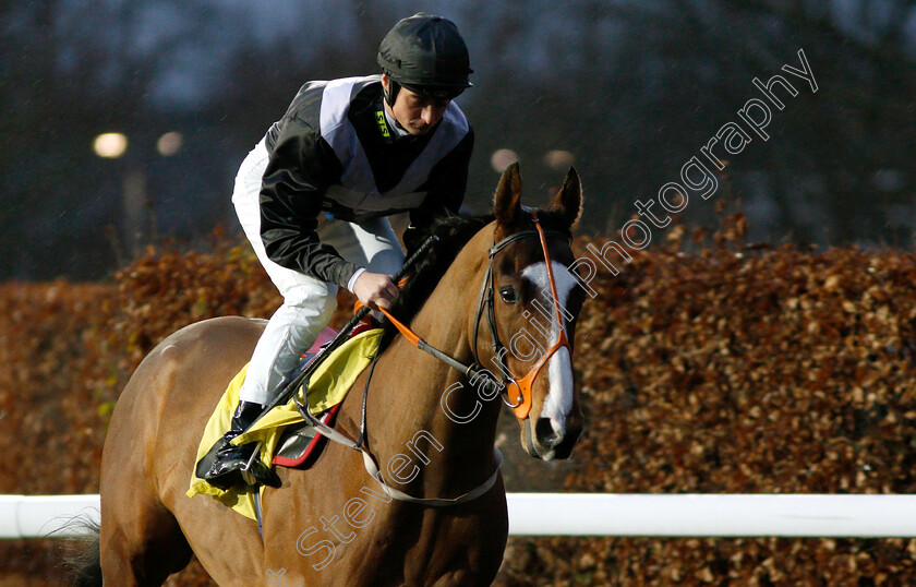 Sebastiano-Ricci-0001 
 SEBASTIANO RICCI (Eoin Walsh)
Kempton 16 Jan 2019 - Pic Steven Cargill / Racingfotos.com