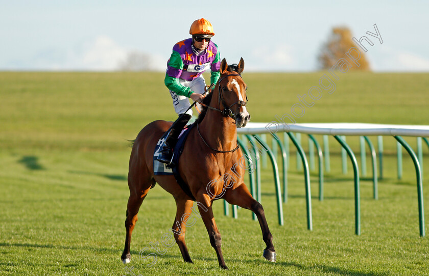 Another-Odyssey-0001 
 ANOTHER ODYSSEY (Jack Mitchell)
Newmarket 20 Oct 2021 - Pic Steven Cargill / Racingfotos.com