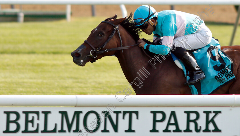 La-Signare-0005 
 LA SIGNARE (Joel Rosario) wins The Wonder Again Stakes 
Belmont Park 7 Jun 2018 - Pic Steven Cargill / Racingfotos.com